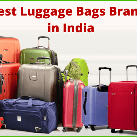 best luggage bags brands in india